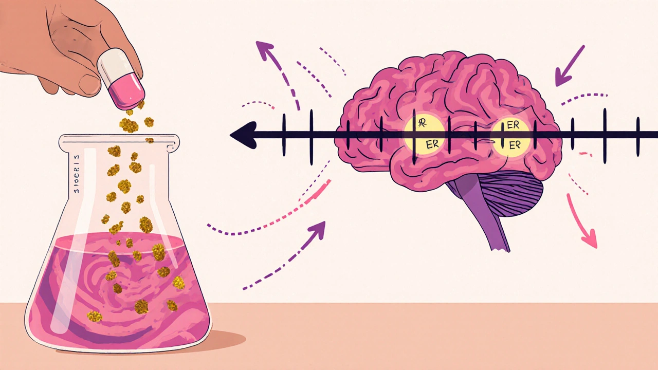 Conjugated Estrogens USP and Mental Health: Benefits, Risks, and Latest Research
